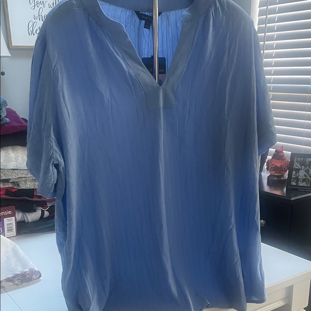 Well Worn Blue Short Sleeve Blouse
